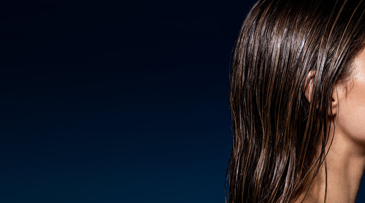 Wet dark hair in profile on navy