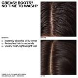 DRY SHAMPOO POWDER SPRAY